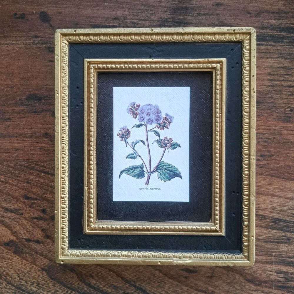 Vintage Decor Art Still Life Botanical Flower Floral Black Gold Frames Ornate 6"